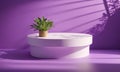 3d render of minimal product display podium with plant in pot. Royalty Free Stock Photo