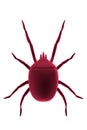 3d render of mite