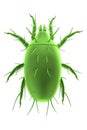 3d render of mite