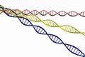 3d render ,Model of twisted DNA chain isolated.