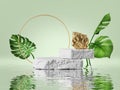 3d render, modern premium background. White and gold cobblestone podium and rock platform, green tropical leaves and reflection Royalty Free Stock Photo