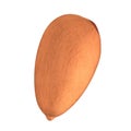 3d render of nut - almond Royalty Free Stock Photo