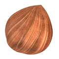 3d render of nut - hazelnut Royalty Free Stock Photo