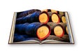 3D render of an opened photo book with wooden beer barrels stack