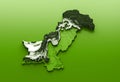 3D render of the Pakistan Map on a green background Royalty Free Stock Photo