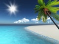 3D render of a palm tree on a sandy beach Royalty Free Stock Photo