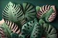 3d render, paper tropical leaves, jungle decor, monstera palm, green background, digital illustration