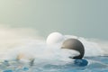 3d render of pastel ball, soaps bubbles, blobs that floating on the air with fluffy clouds and ocean. Romance land of dream scene