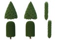 Pine garden decoration on a white background