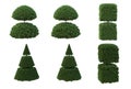 Pine garden decoration on a white background