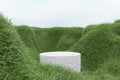 3d render platform and Natural podium background on the mountain grass field, cloud and sky for product stand display advertising
