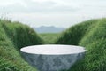 3d render platform and Natural podium background on the mountain grass field, cloud and sky for product stand display advertising