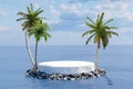 3d render platform and Natural podium background on the sea with cloud, sky, palm, rock, coconut tree for product stand display