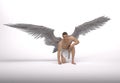 3D Render : The portrait of male angel kneel down with the white background