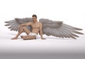 3D Render : The portrait of male angel sitting with the white background