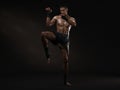 3D Render : The portrait of male boxer, perform muay thai martial arts Royalty Free Stock Photo