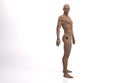 3D Render : the portrait of male cyborg standing in the white background studio