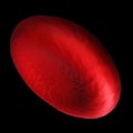 3d render red blood cells background. Royalty Free Stock Photo