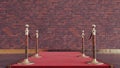 red carpet path, The path to glory, vip concept Royalty Free Stock Photo