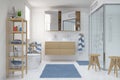 3d render - scandinavian - nordic bathroom