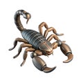 3D render Scorpion isolated Royalty Free Stock Photo