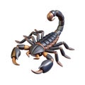 3D render Scorpion isolated Royalty Free Stock Photo