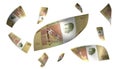 3D Render Set of Flying Andorra 10 Pessetes Money Banknote