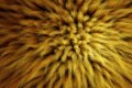 3D Render of shaggy carpet with wool material for backgrounds texture, close up of soft attractive yellow and fluffy.