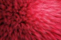 3D Render of shaggy carpet with wool material for backgrounds texture, close up of soft romantic pastel red and fluffy. Royalty Free Stock Photo