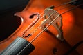 3D render of a shiny brown violin fragment with strings on the foreground