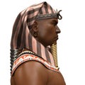 Side profile of an Ancient Egypt Pharaoh