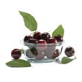 3d render - small glass bowl with cherries