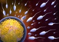 3D Render of Sperm and egg. Royalty Free Stock Photo