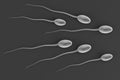 3d render of sperms