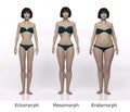 3D Render : standing female body type ie. skinny type,muscular type,heavy weight