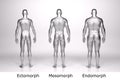 3D Render : standing male body type : ectomorph , mesomorph , endomorph with silver texture Royalty Free Stock Photo