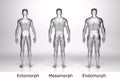 3D Render : standing male body type : ectomorph , mesomorph , endomorph with silver texture Royalty Free Stock Photo