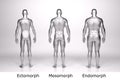 3D Render : standing male body type : ectomorph , mesomorph , endomorph with silver texture