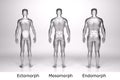 3D Render : standing male body type : ectomorph , mesomorph , endomorph with silver texture Royalty Free Stock Photo