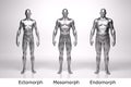 3D Render : standing male body type : ectomorph , mesomorph , endomorph with silver texture Royalty Free Stock Photo