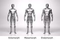 3D Render : standing male body type : ectomorph , mesomorph , endomorph with silver texture Royalty Free Stock Photo
