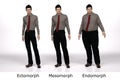 3D Render : standing male body type ie. skinny type,muscular type,heavy weight