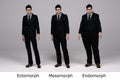 3D Render : standing male  body type ie. skinny type,muscular type,heavy weight Royalty Free Stock Photo