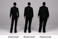 3D Render : standing male  body type ie. skinny type,muscular type,heavy weight Royalty Free Stock Photo