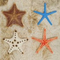 3D Render of Starfish Collection