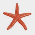 3D Render of Starfish