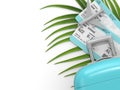 3d render of suitcase, fly tickets and plane lying on palm leaf
