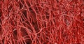 3D render. System many small capillaries branch out of the large blood. Royalty Free Stock Photo