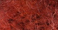 3D render. System many small capillaries branch out of the large blood