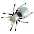 3d render of tarantula